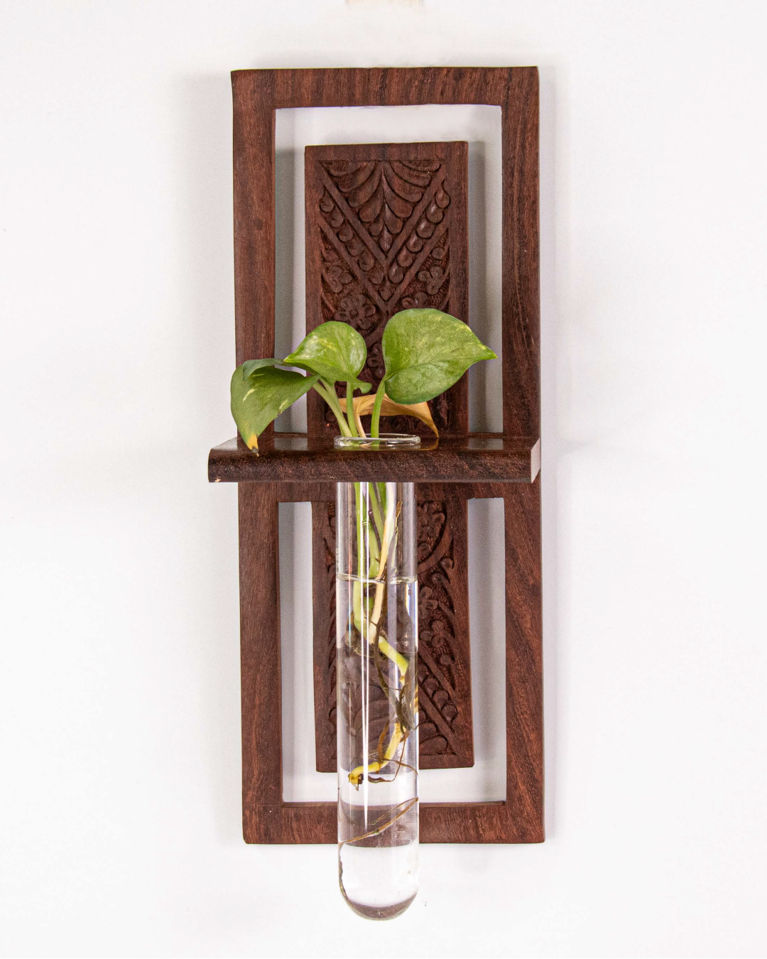 wall hanging test tube planter Bagan- Wall Mounted Test Tube Planter – TheIndianRose