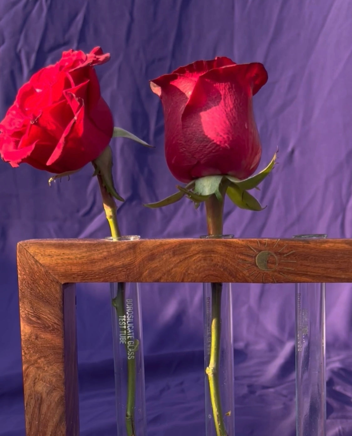 Chaand- Test Tube Planter with 4 test tubes